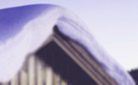 ������Сѩ�����Ľ̰�