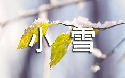 小雪小班教案