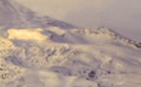 ��ѩɽ�ϵĻ����ˡ������