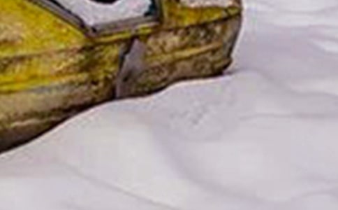 ѩ�ֵ��鱨��