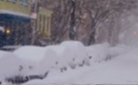 ������ѩѩ���ݽ���