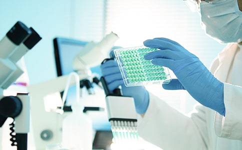 �ٴ��о��ĵ����