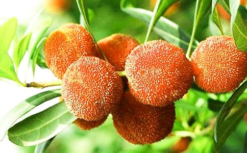 ���Ұ��������÷���Ľ̰�