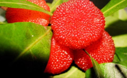 �Ұ��������÷��ѧ��˼