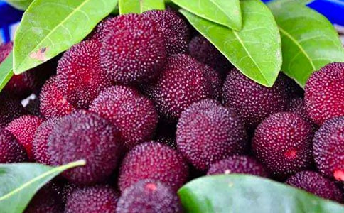 ���Ұ��������÷������̰�����ѡ6ƪ��