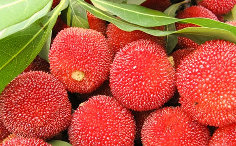 ���Ұ��������÷���̰�