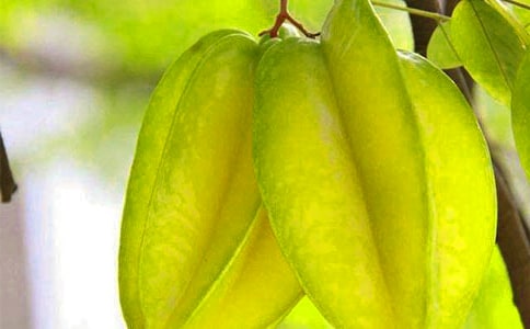 �����ҽ̰�