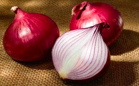 �����ͷ���ռǡ������