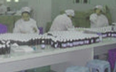 ��ҩ�������ܽ� 