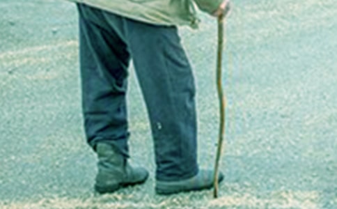 ������үү���֡��̰�