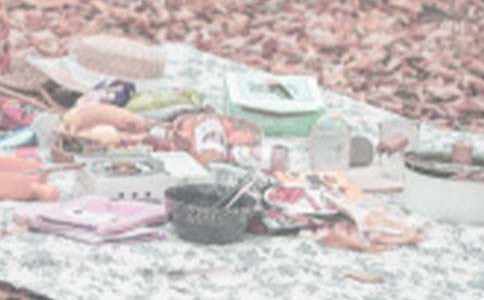 С�����Խ̰�С����Ұ��