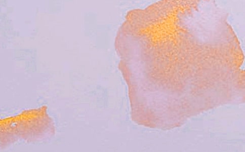 С�������̰�������