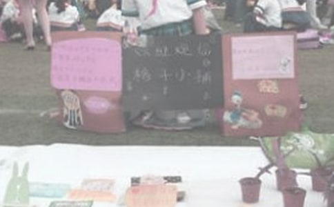 ����������ܽ�15ƪ