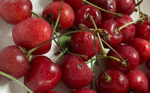 ���⹫�ǿ�ӣ�����������15ƪ