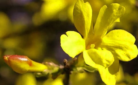 ��ӭ�������̰�