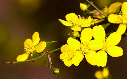 С��ӭ�����̰��뷴˼