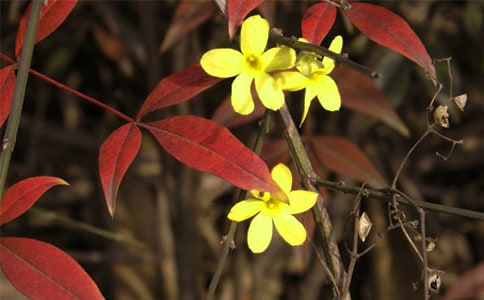 ������ӭ�����̰� 