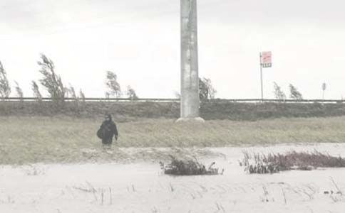 ���﹤���ܽ�