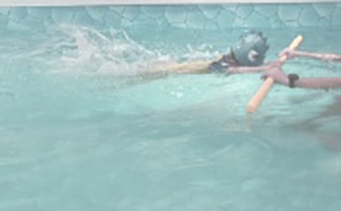 游泳池安全管理制度(精选17篇)