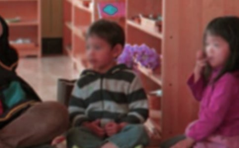 �����׶�԰С�లȫ�̰�