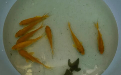 �������ͬ