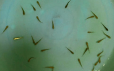 ���繺����ͬ15ƪ