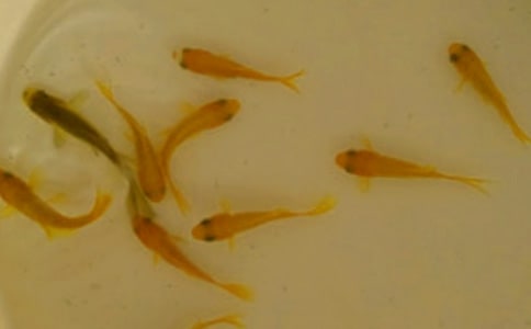 ���繺����ͬ(��ѡ15ƪ)