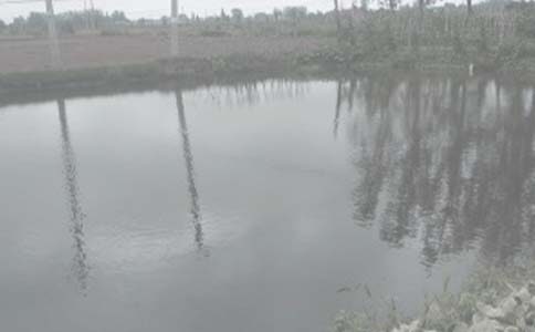 �����а���ͬ(�ϼ�15ƪ)