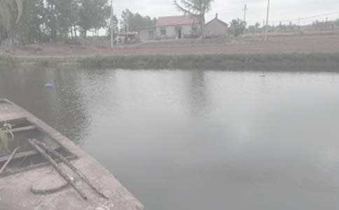 ũ�������а���ͬ15ƪ