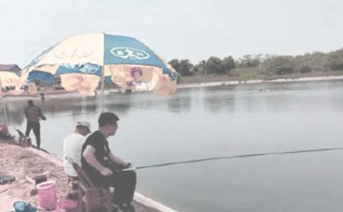 鱼塘承包合同集合15篇