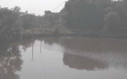 鱼塘承包合同精选15篇