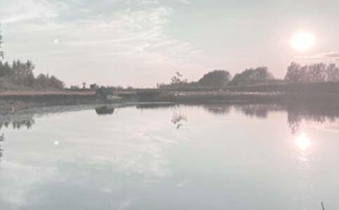 ������Ӫ�а���ͬ