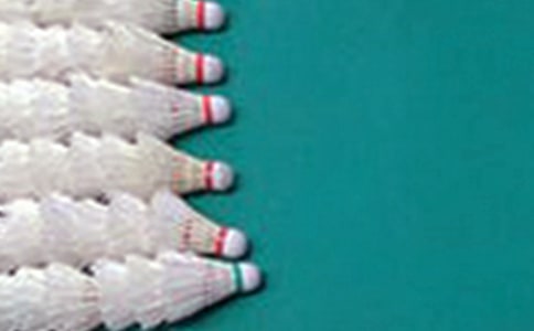 ������ë��Э��������Ը�