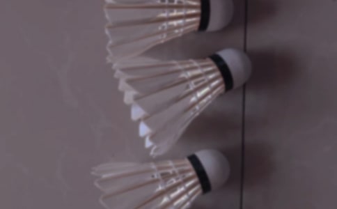 ��ë�������ܽ�(����15ƪ)