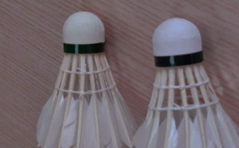 ��ë�������ܽ���15ƪ