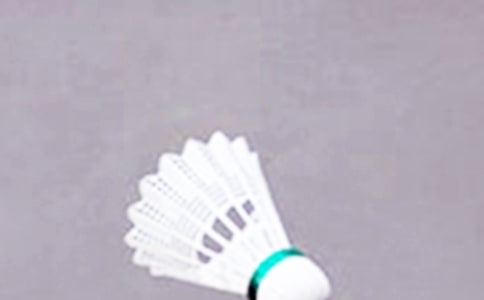 ��ë���ܽ�(15ƪ)