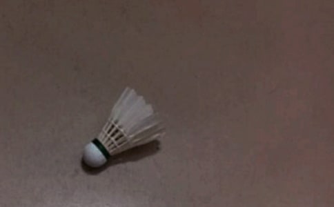 ��ë��˵�θ�