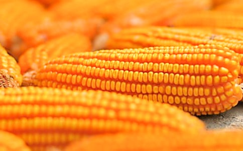 �������׵Ĺ�����ͬ