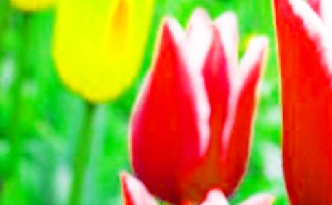 С��������������̰�