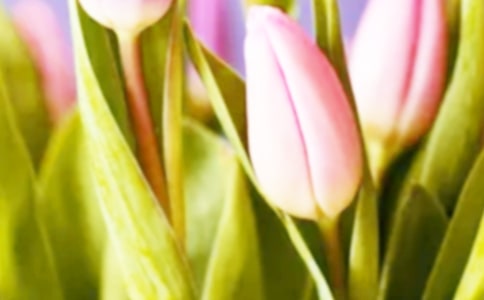 С��̰�������������㡷��˼