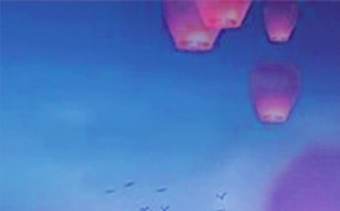 Ԫ�����������ִ�