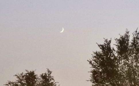 ����ʫ�����������ӻ���50��