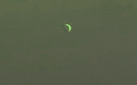 ����������Ӷ����[ʵ��15ƪ]