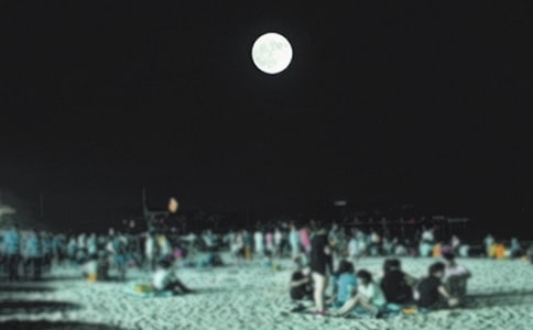 ��Բ���̰�