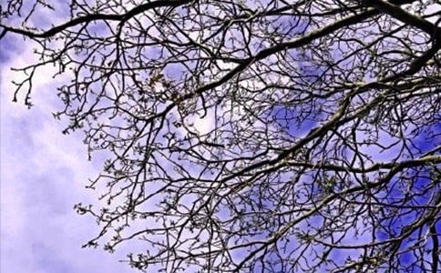 2024��򵥵��°��簲�ʺ�����Ž���48��