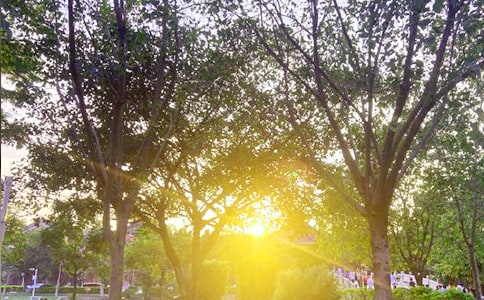 �°��簲����Ȧ�ʺ���ժ¼41��