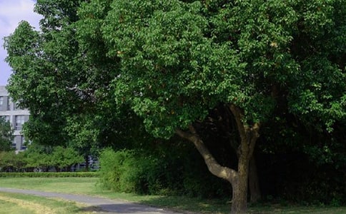 ��������2023������ϵ�簲QQ�ʺ������59��