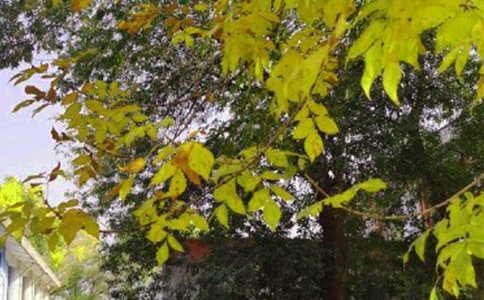 2023������ʺϸ����ѵ��簲΢���ʺ���38��