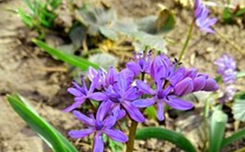 ����Ψ�����簲QQ�ʺ���33��