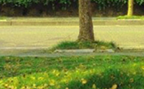 �򵥵��°��簲�ʺ�����¼���55��